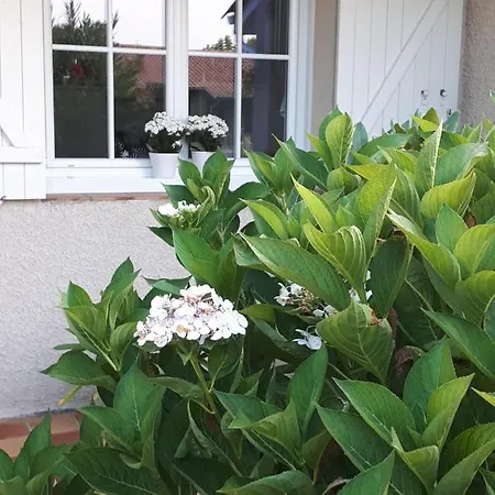 Homestay Maison Ruisseau L'eau Blanche