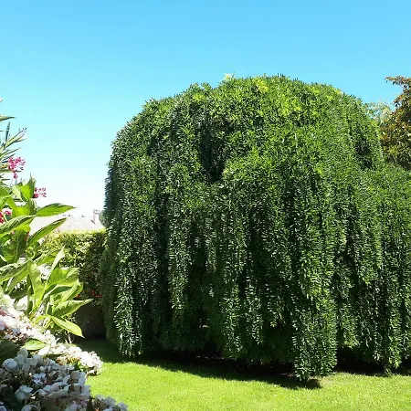 Maison Ruisseau L'eau Blanche *