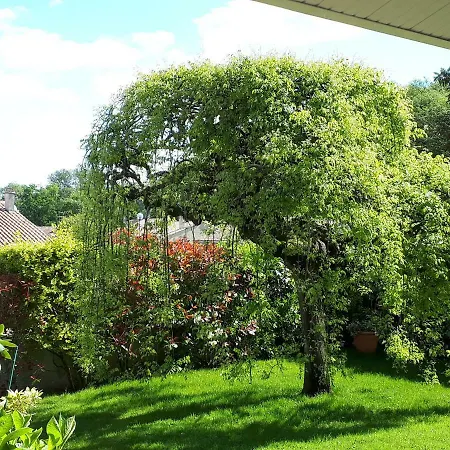 Maison Ruisseau L'eau Blanche * Léognan