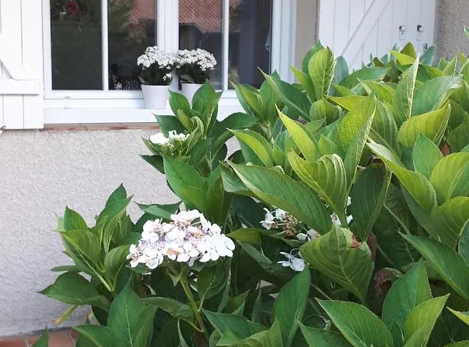 Habitación en casa particular Maison Ruisseau L'eau Blanche