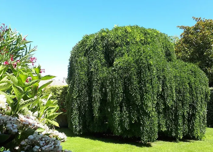 Maison Ruisseau L'eau Blanche *